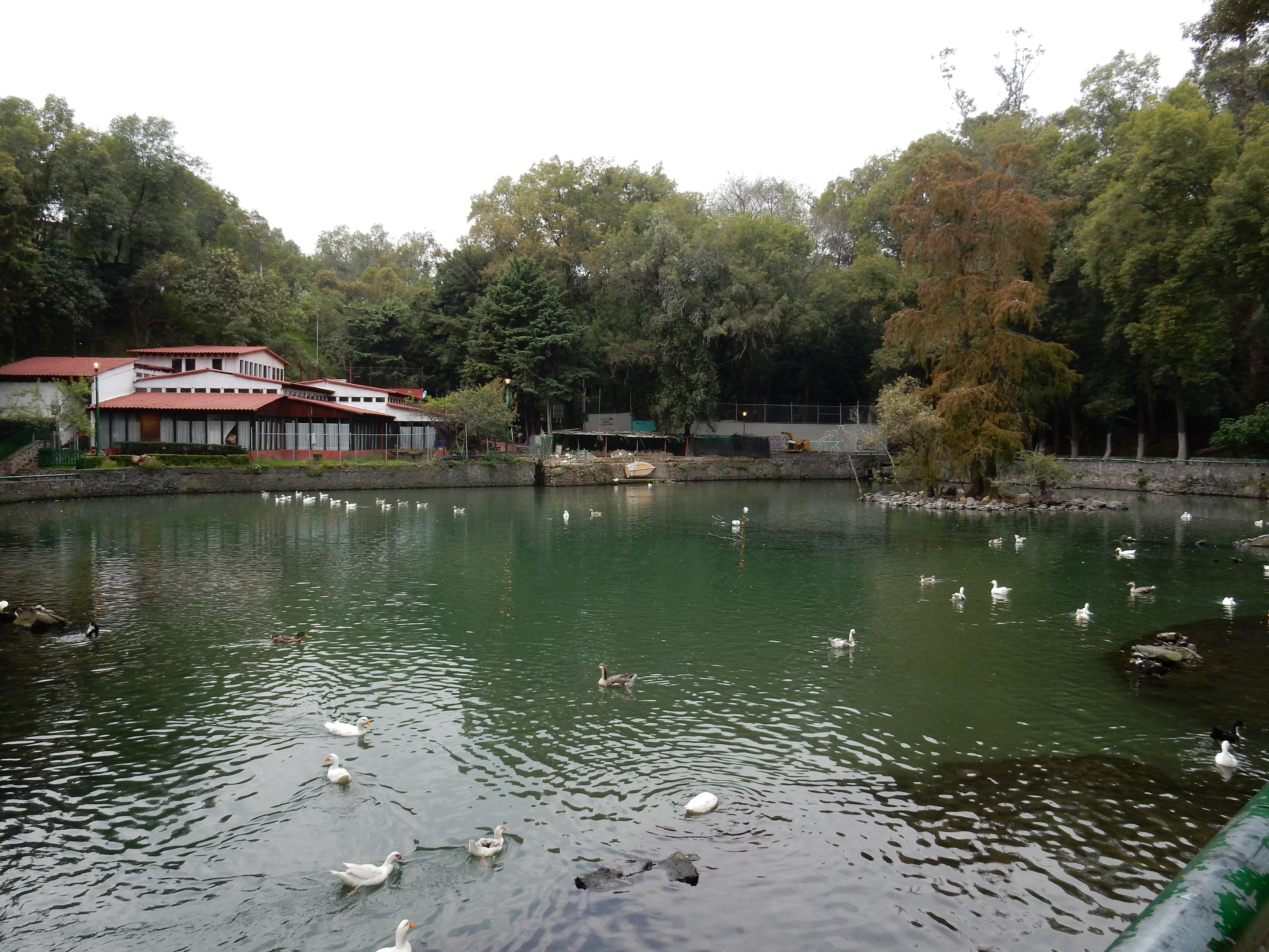 Fuentes Brotantes de Tlalpan National Park